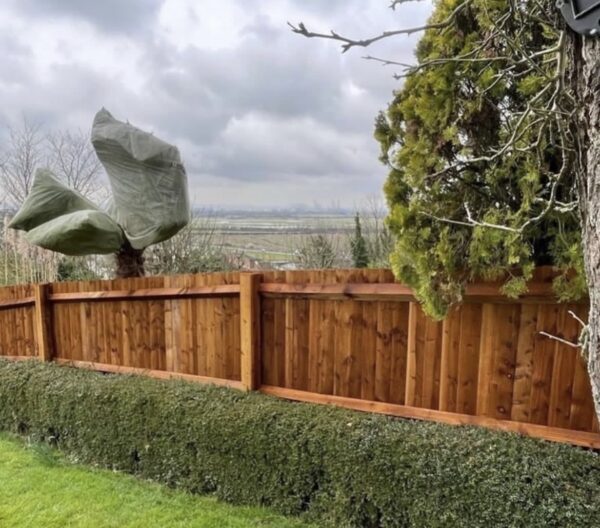 Feather Edge Board | 1.5M | Treated Brown - Combined with other fencing components, you can create strong and attractive traditional board fencing.